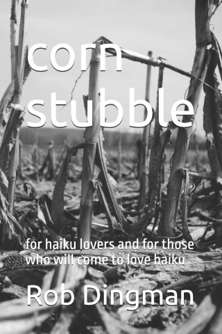 corn stubble