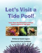 Let's Visit a Tide Pool!