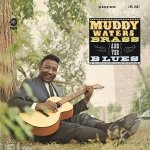 Muddy Waters:  Muddy, Brass And The Blues