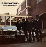 Flamin' Groovies, The:  Shake  Some Action