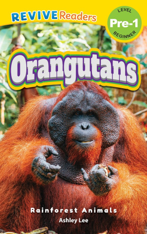 Orangutans