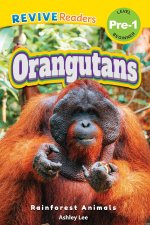 Orangutans