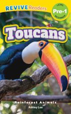 Toucans