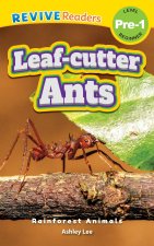 Leaf-Cutter Ants