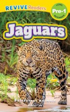 Jaguars