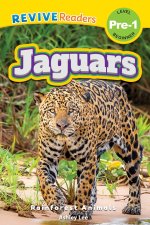 Jaguars