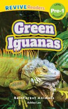 Green Iguanas