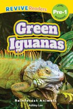 Green Iguanas