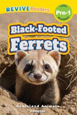 Black-Footed Ferrets
