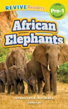 African Elephants