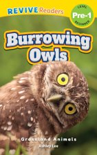 Burrowing Owls