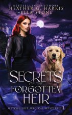 Secrets of the Forgotten Heir