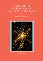 APPRENDRE SANSKRIT PAR TEXTES DU TRIKA S