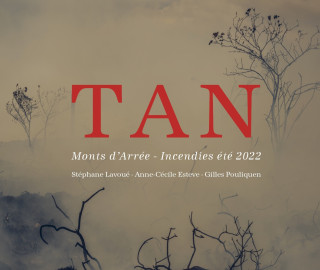 Tan