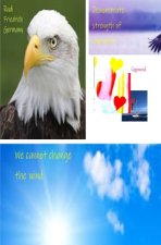 We cannot change the wind
