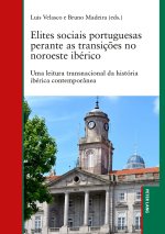 Elites sociais portuguesas perante as transições no noroeste ibérico