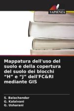 Mappatura dell'uso del suolo e della copertura del suolo dei blocchi 