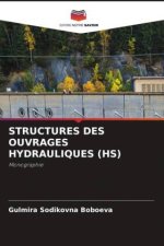 STRUCTURES DES OUVRAGES HYDRAULIQUES (HS)