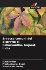 Erbacce comuni del distretto di Sabarkantha, Gujarat, India