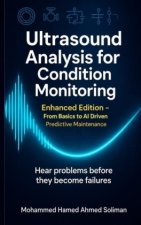 Ultrasound Analysis for Condition Monitoring