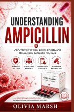 Understanding Ampicillin