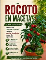 Rocoto en maceta