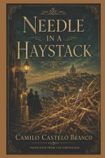 NEEDLE IN A HAYSTACK