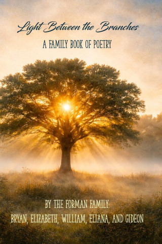 Light Between the Branches