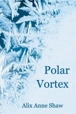 Polar Vortex