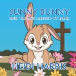 Sunny Bunny Finds the True Meaning of Easter