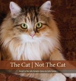 The Cat | Not The Cat
