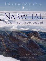 Narwhal