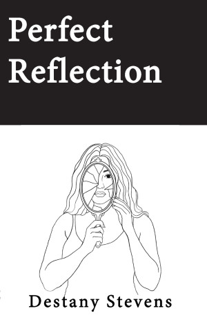Perfect Reflection