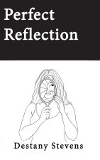 Perfect Reflection