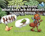 Learn from Scout What Ants are All About!