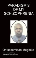 Paradigm's of my schizophrenia