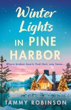 Winter Lights in Pine Harbor