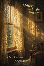Where the Light Enters