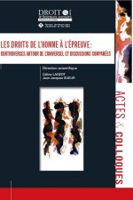 Les droits de l'homme à l'épreuve
