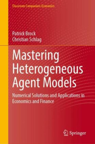 Mastering Heterogeneous Agent Models