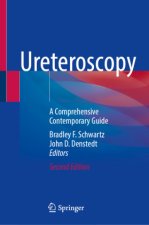 Ureteroscopy