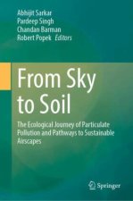 From Sky to Soil