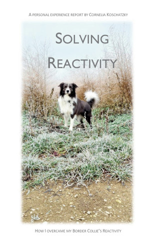 Solving Reactivity