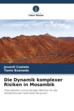 Die Dynamik komplexer Risiken in Mosambik