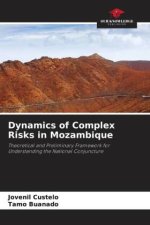 Dynamics of Complex Risks in Mozambique