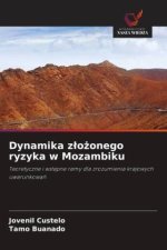 Dynamika zlozonego ryzyka w Mozambiku