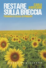Restare sulla breccia. Parroco a Casal di Principe
