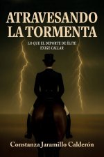 ATRAVESANDO LA TORMENTA