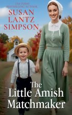 The Little Amish Matchmaker