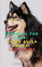 Scopri il tuo Cane